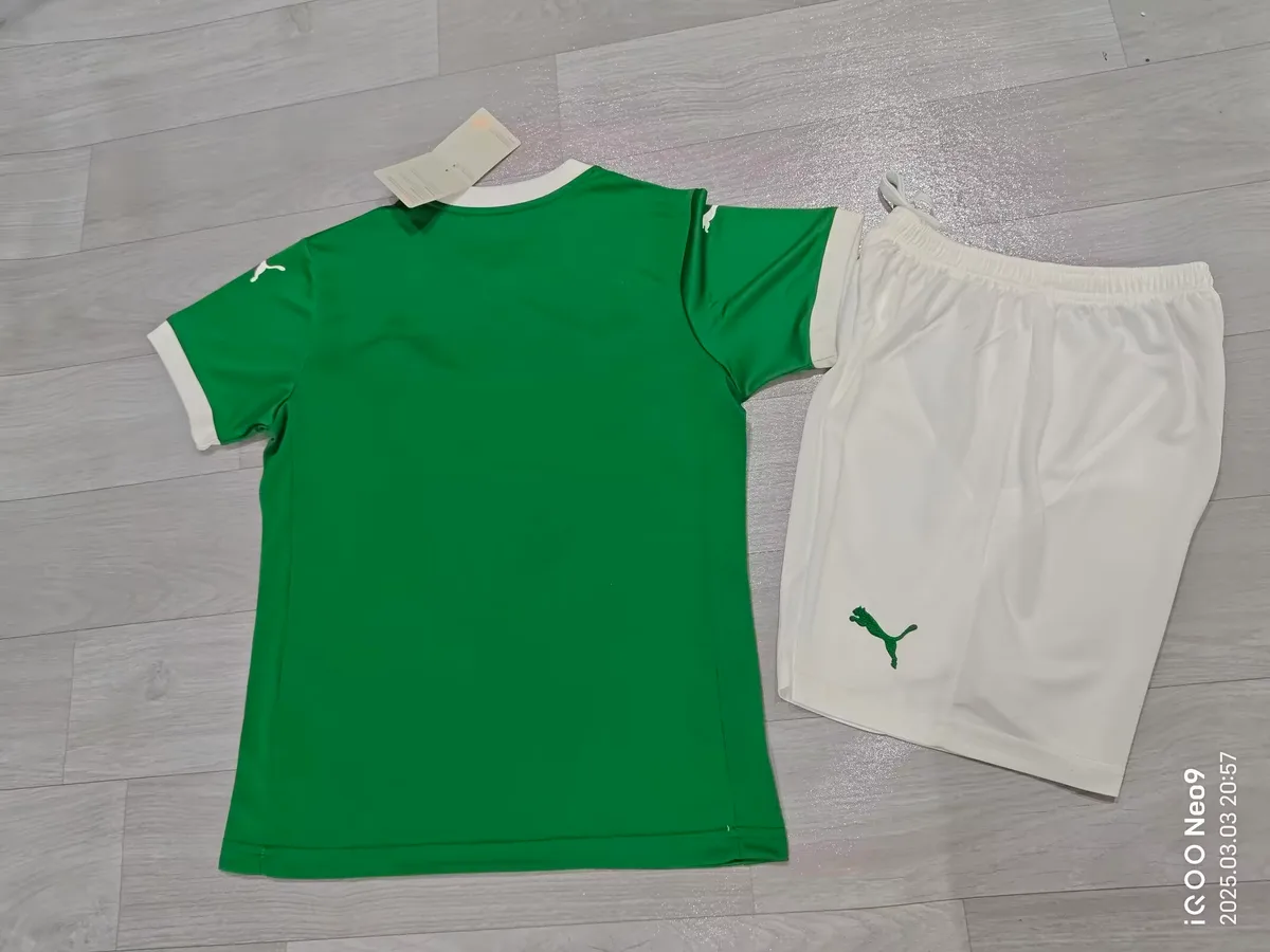 2025/26 Palmeiras Home Kids Kit, foto 3