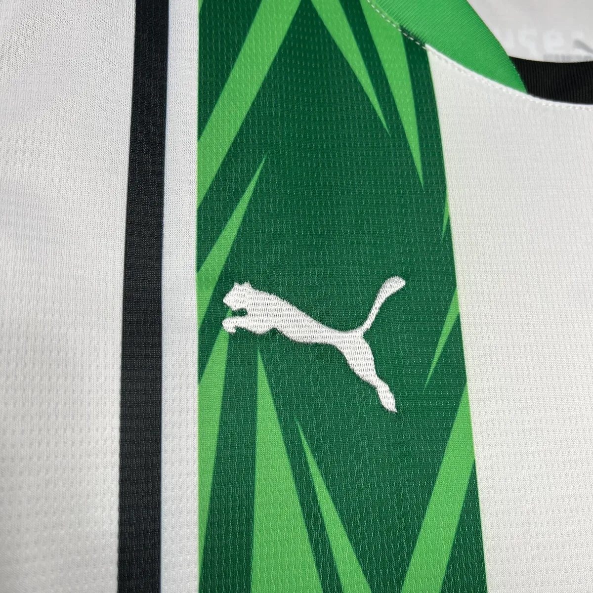 Borussia Monchengladbach 2024/25 Home Jersey, foto 2