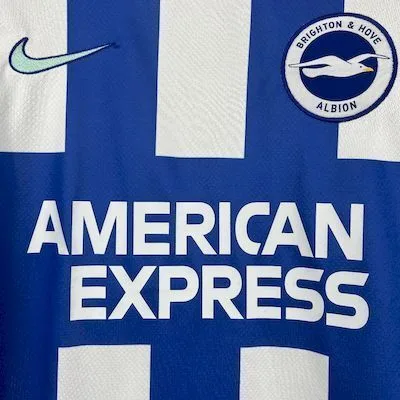 Brighton & Hove Albion 2025/26 Home Jersey, foto 5