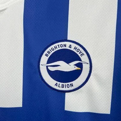 Brighton & Hove Albion 2025/26 Home Jersey, foto 6