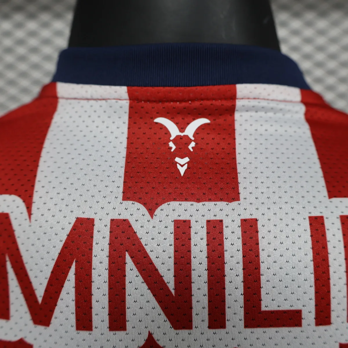 Chivas 2024/25 Home Jersey Player Version, foto 3