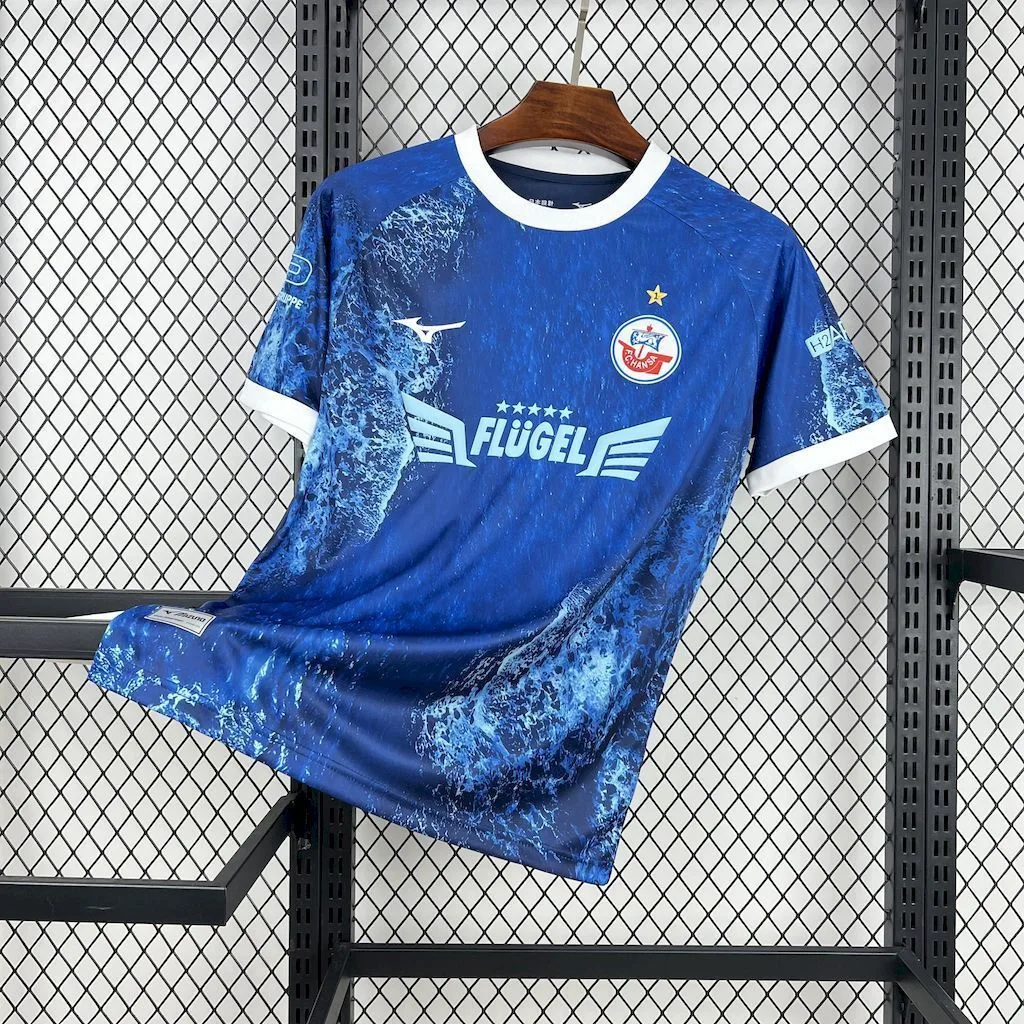 FC Hansa Rostock 2025/26 Baltic Sea Special Edition Jersey, foto 1