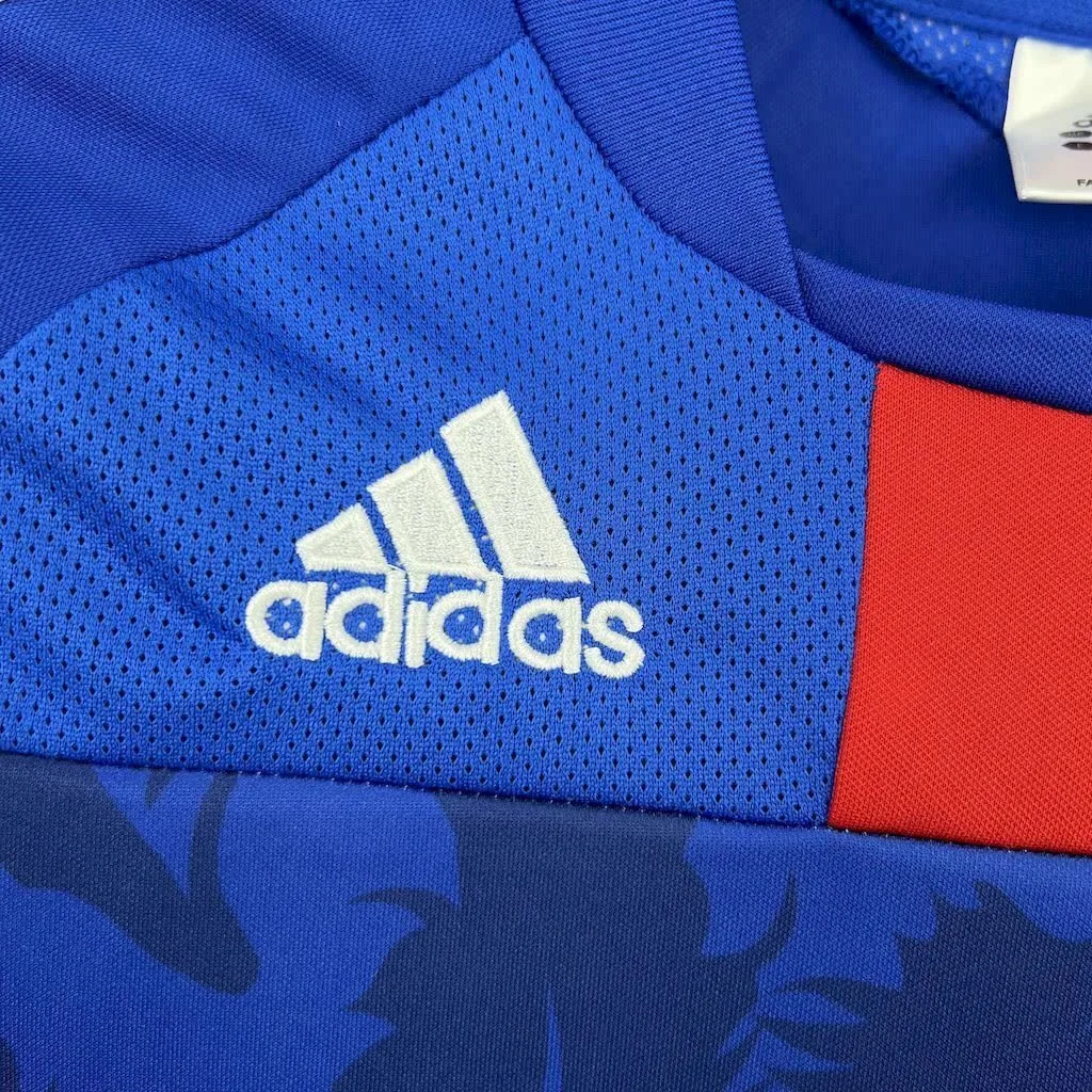 Japan 2010 Home Retro Jersey, foto 5