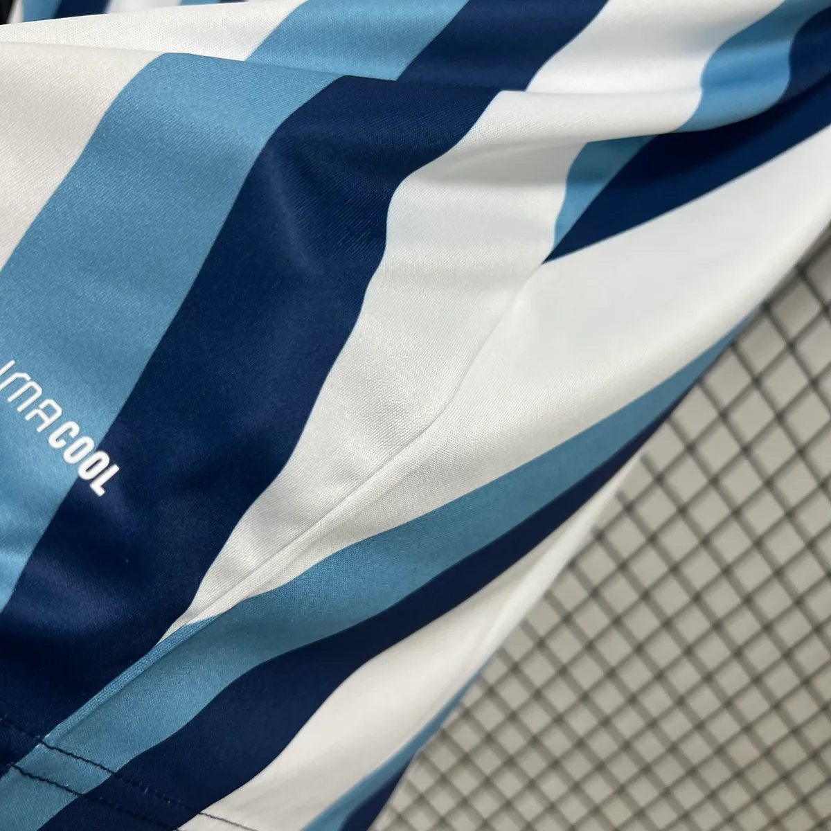 Mens Argentina 2026 World Cup Special Jersey, foto 3