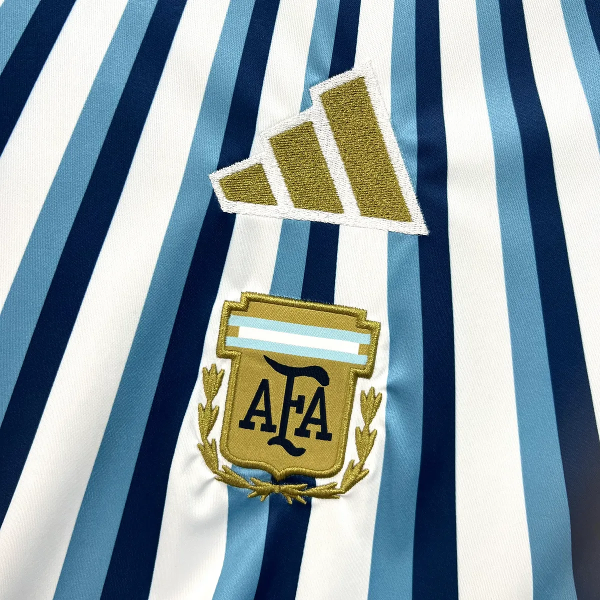 Mens Argentina 2026 World Cup Special Jersey, foto 5