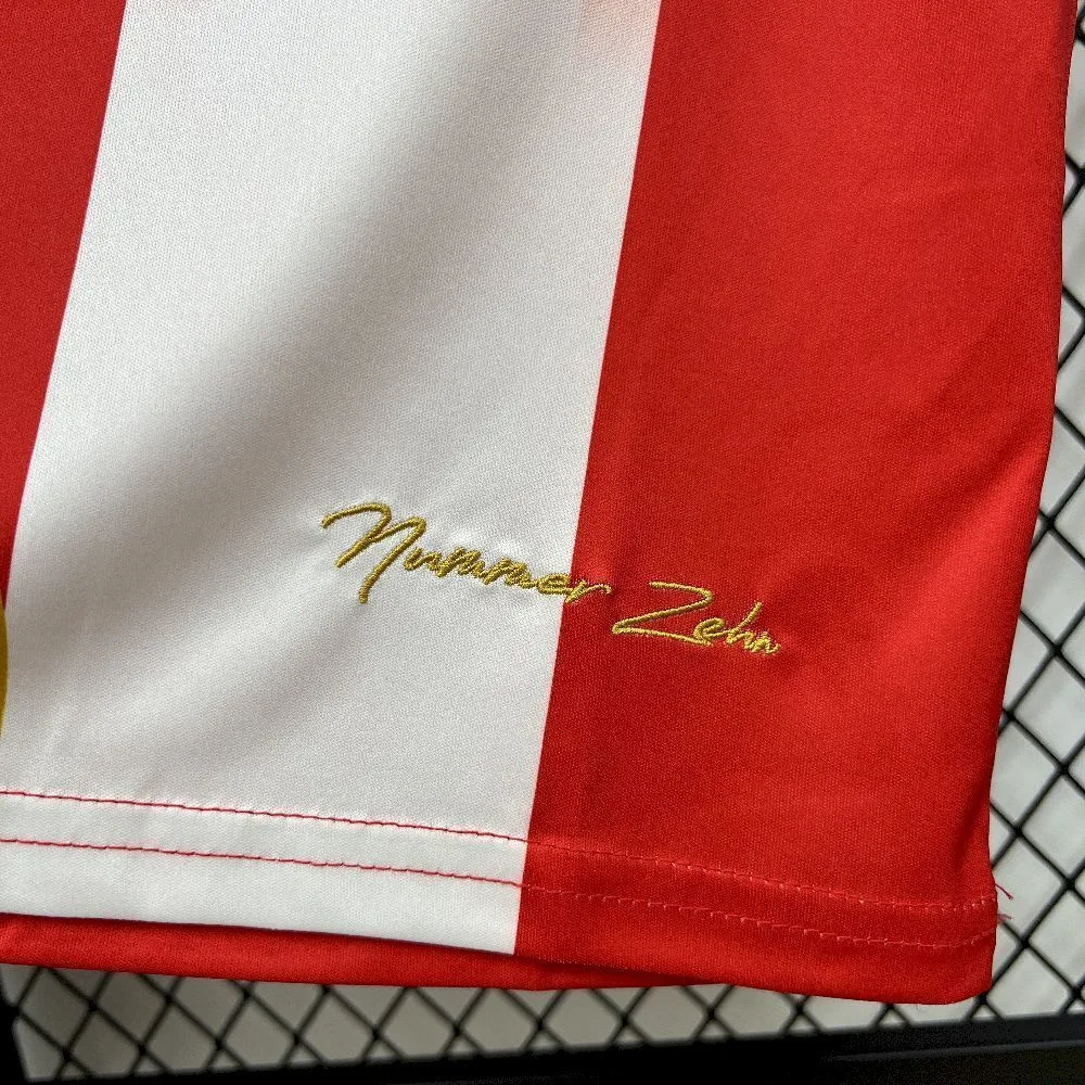Mens Bayern Munich 2025/26 Special Edition Jersey, foto 4