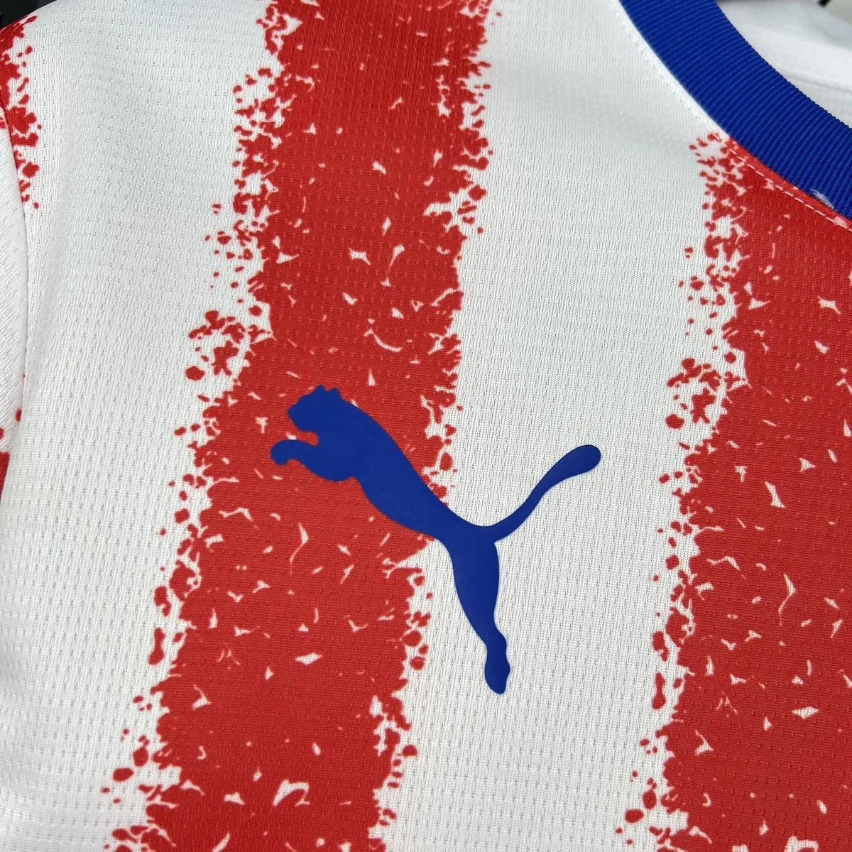 Mens Paraguay 2026 World Cup Home Jersey, foto 3