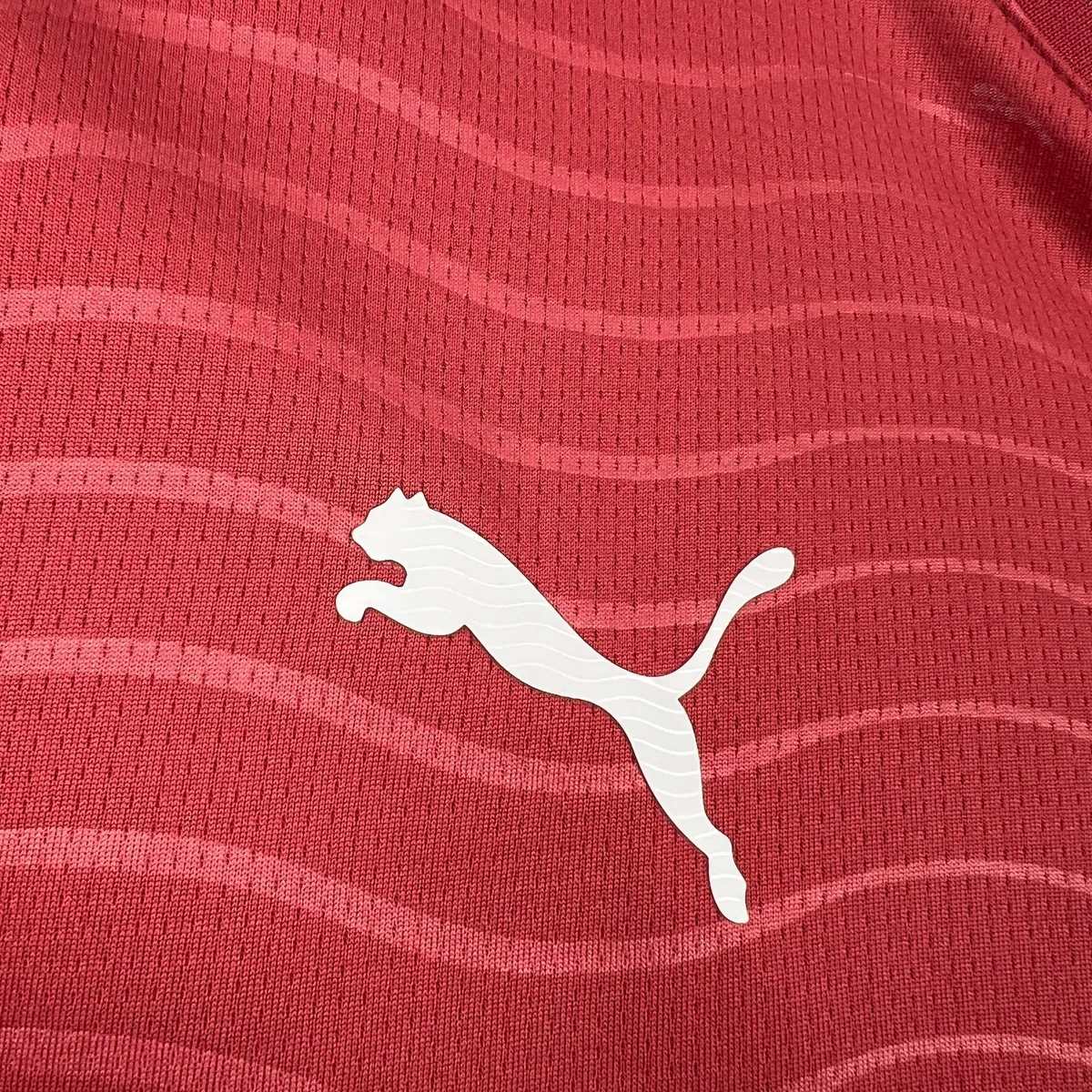 Mens Portugal 2026 World Cup Home Long sleeves Jeresy, foto 6
