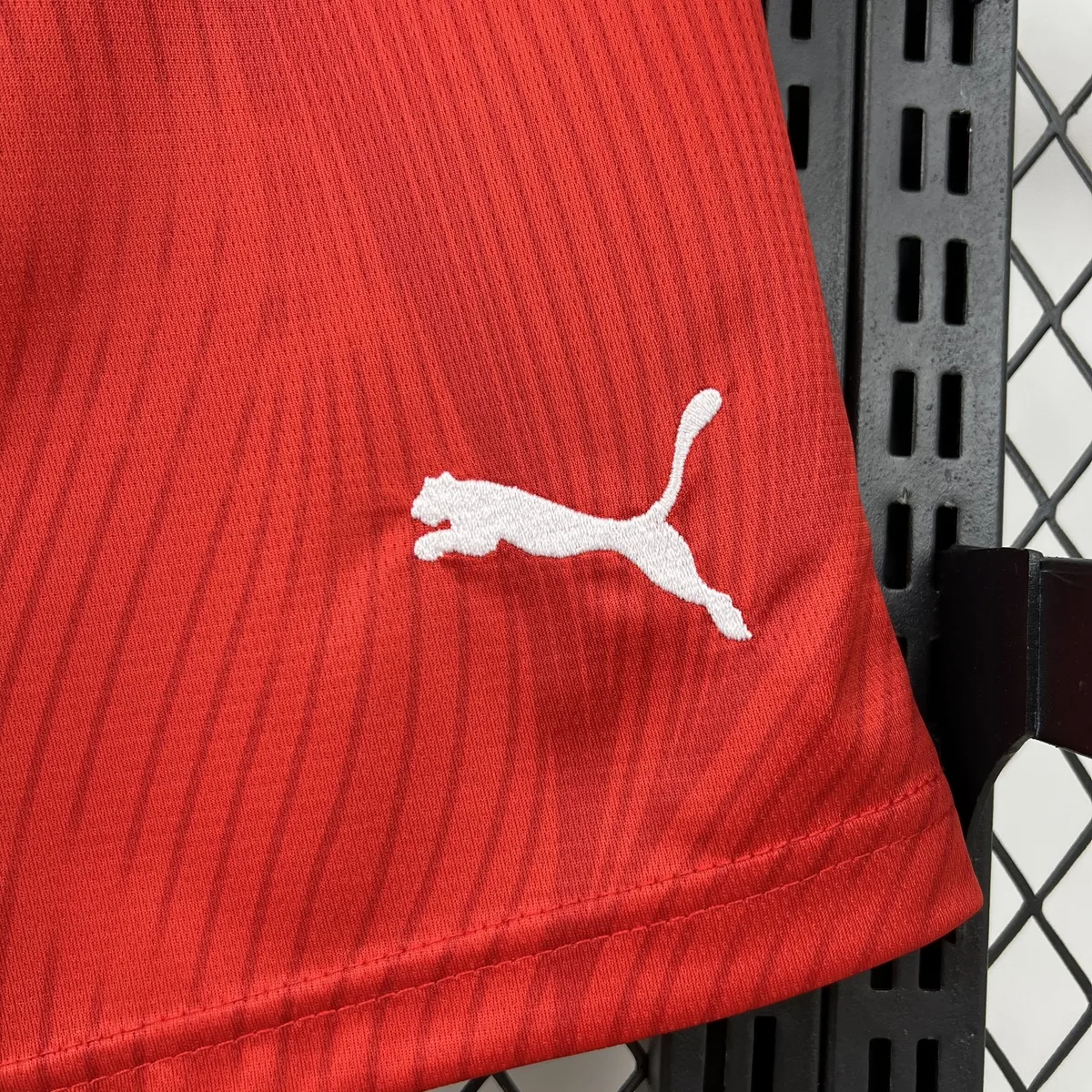 Mens Switzerland 2026 World Cup Home Shorts, foto 3