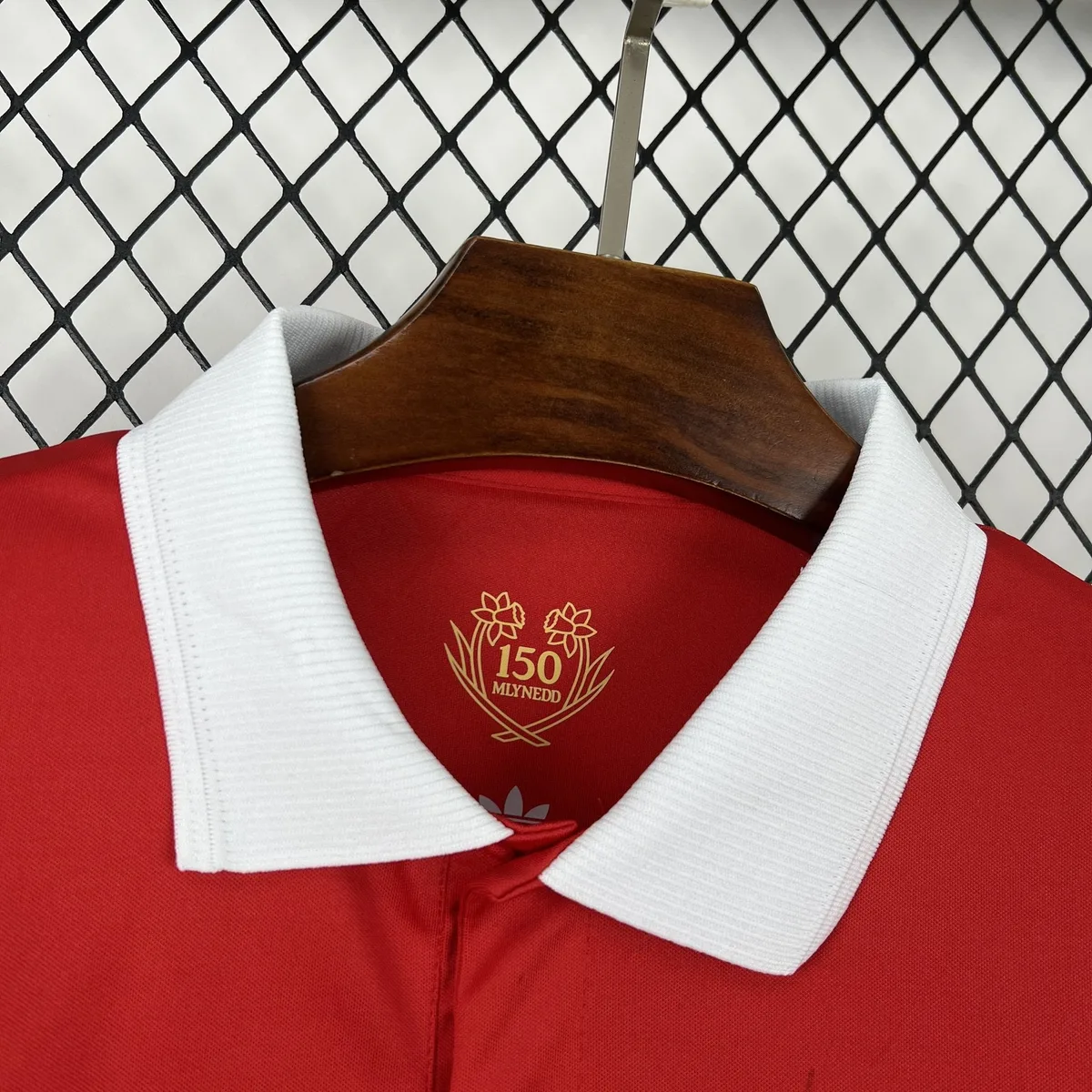 Mens Wales 2026 150th Anniversary Jersey, foto 2