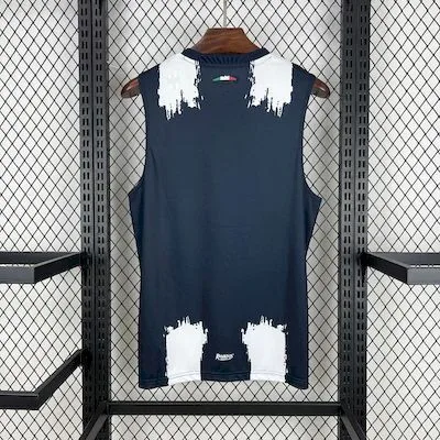 Monterrey 2025/26 Home Vest Jersey, foto 4