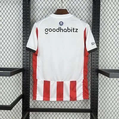 PSV Eindhoven 2025/26 Home Jersey, foto 3