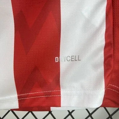 PSV Eindhoven 2025/26 Home Jersey, foto 6