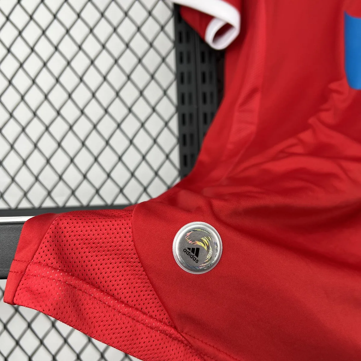 Retro Benfica 2009/10 Home Jersey, foto 3