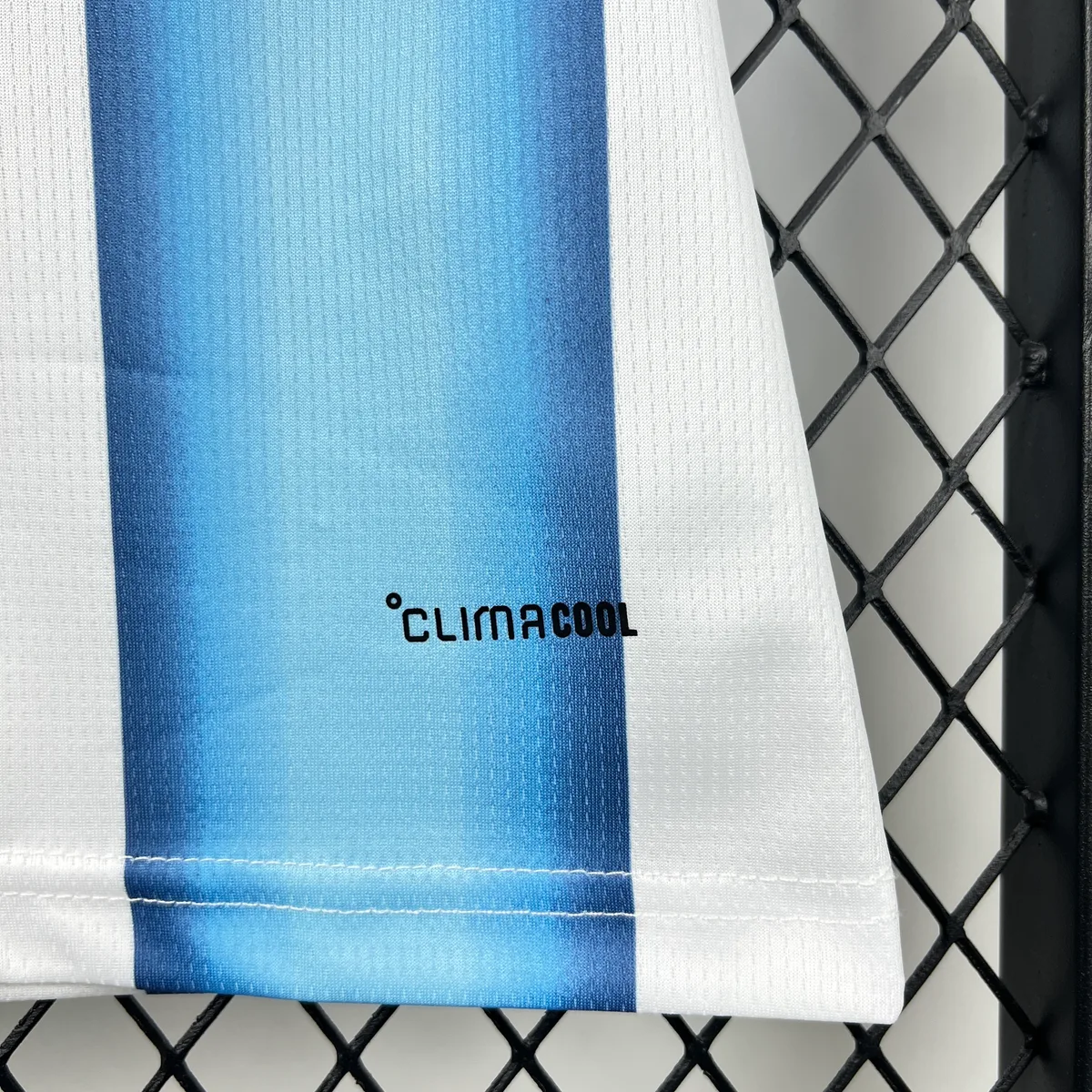 Womens Argentina 2026 World Cup Home Jersey, foto 3
