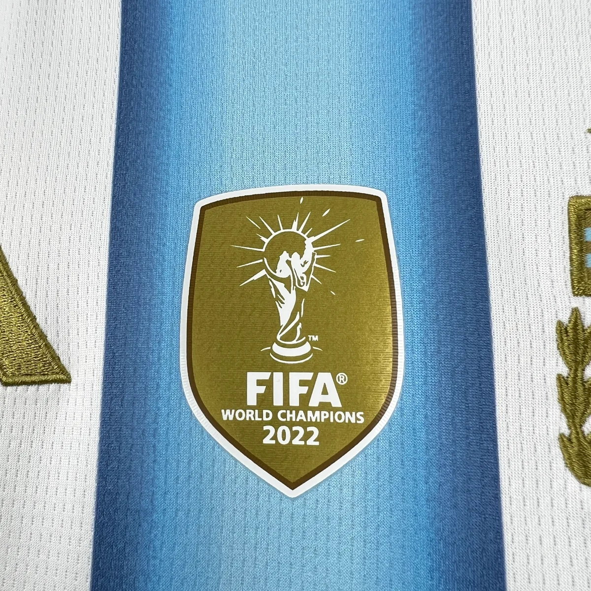 Womens Argentina 2026 World Cup Home Jersey, foto 5